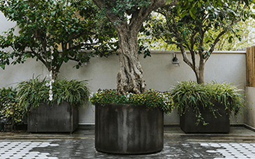 GALLERY_6
